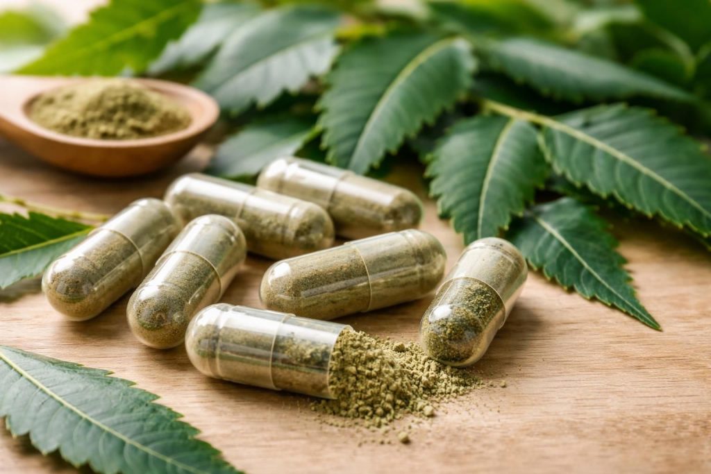découvrez les bienfaits des gélules de neem, un remède naturel ancestral pour soulager efficacement les troubles contemporains.